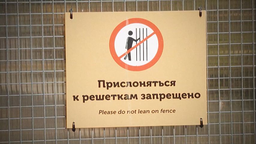 Смотреть онлайн Безопасность с хищными животными