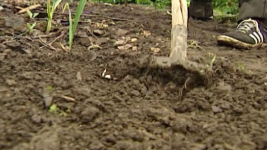 Смотреть онлайн Бродячие деликатесы