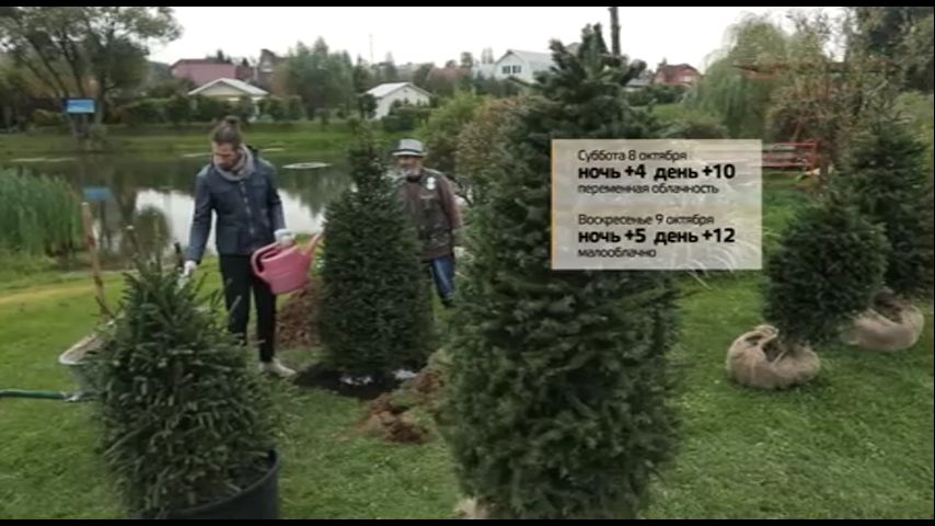 Смотреть онлайн И о погоде Выпуск 10
