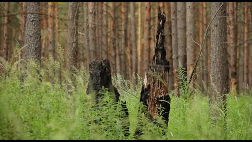 Смотреть онлайн И о погоде Выпуск 1