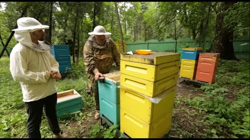 Смотреть онлайн И о погоде Выпуск 4
