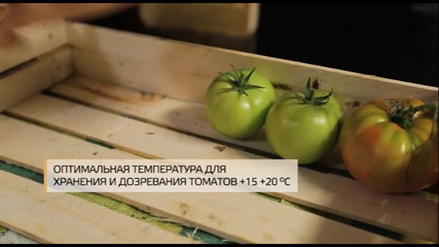 Смотреть онлайн И о погоде Выпуск 8