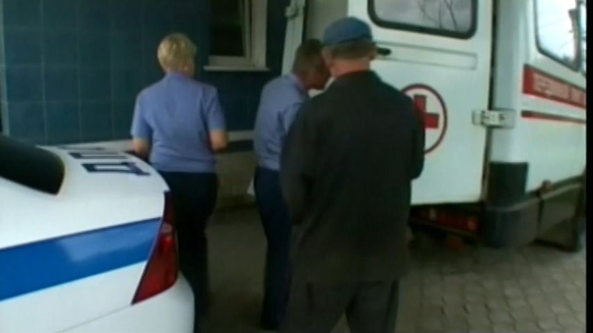 Смотреть онлайн Лягушонок на дороге