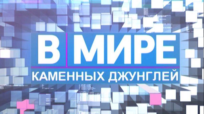 Смотреть онлайн Пищевая обманка