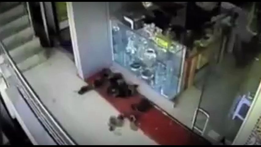 Смотреть онлайн Сеть Выпуск 22
