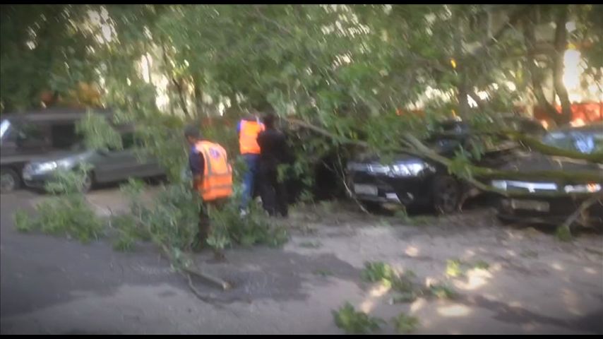 Смотреть онлайн Сеть Выпуск 25