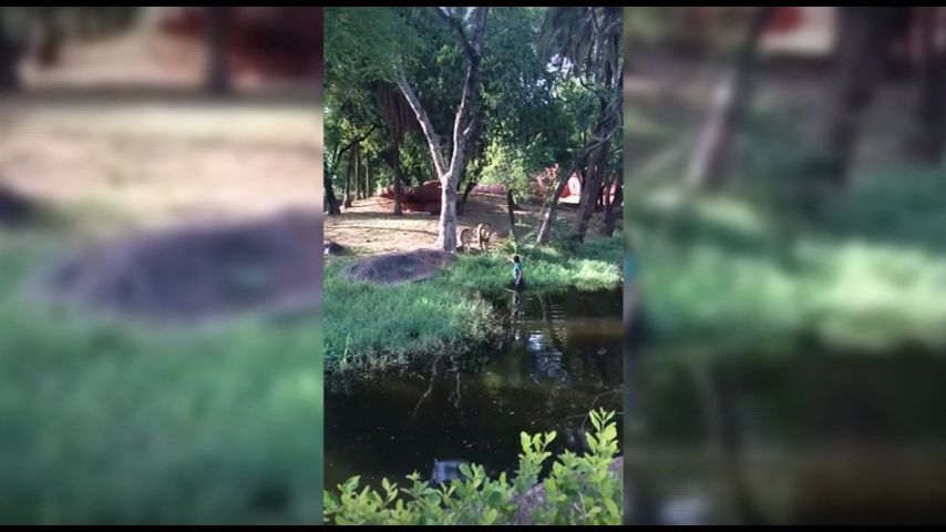 Смотреть онлайн Сеть Выпуск 27