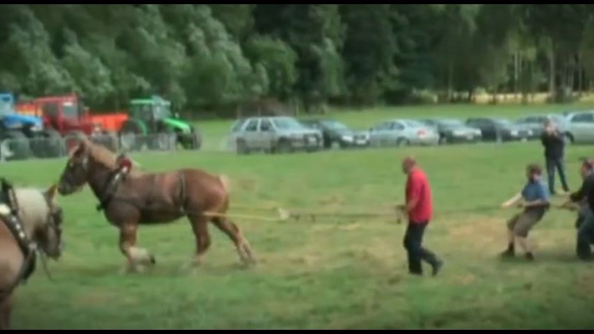 Смотреть онлайн Сеть Выпуск 41