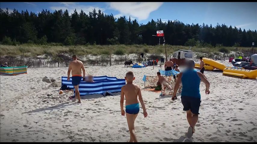 Смотреть онлайн Сеть Выпуск 51