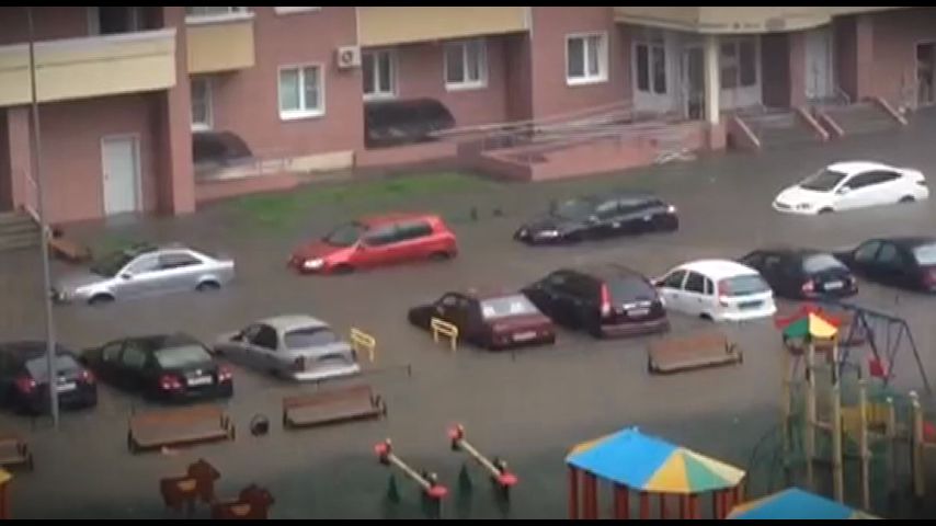 Смотреть онлайн Сеть Выпуск 54